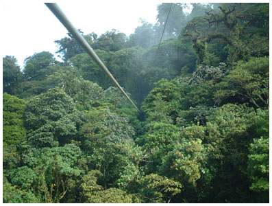 zipline middle